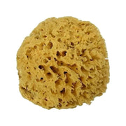 Spugna arcipelago med naturale 12