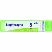 Staphysagria 5ch 80gr 4g