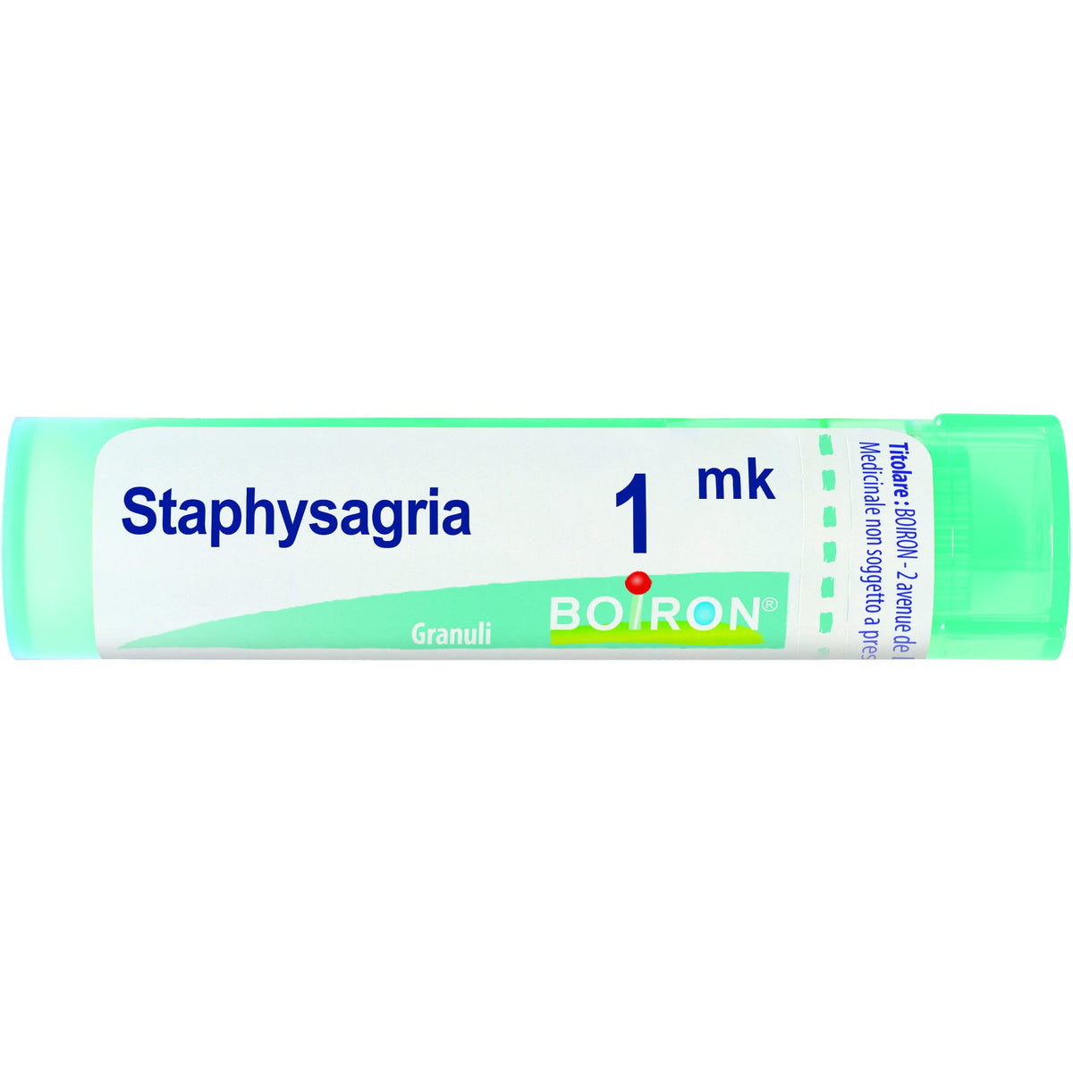 Staphysagria boi 1000k 80gr 4g