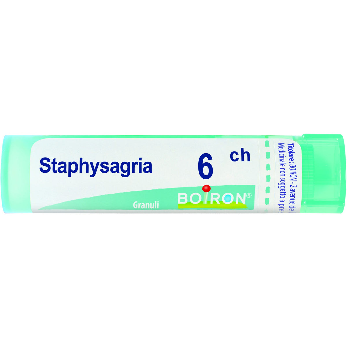 Staphysagria boi 6ch 80gr 4g