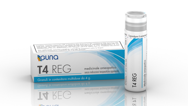T4 reg 4g 80gr cont multid