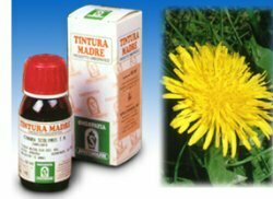 Tarassaco 28 50ml tintura madre