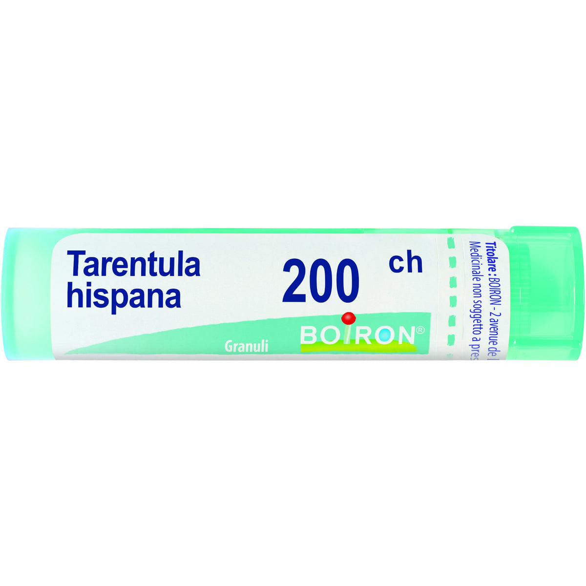 Tarentula hispana 200ch gr