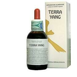Terra yang 50 ml