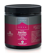 Terranova super shake int berr