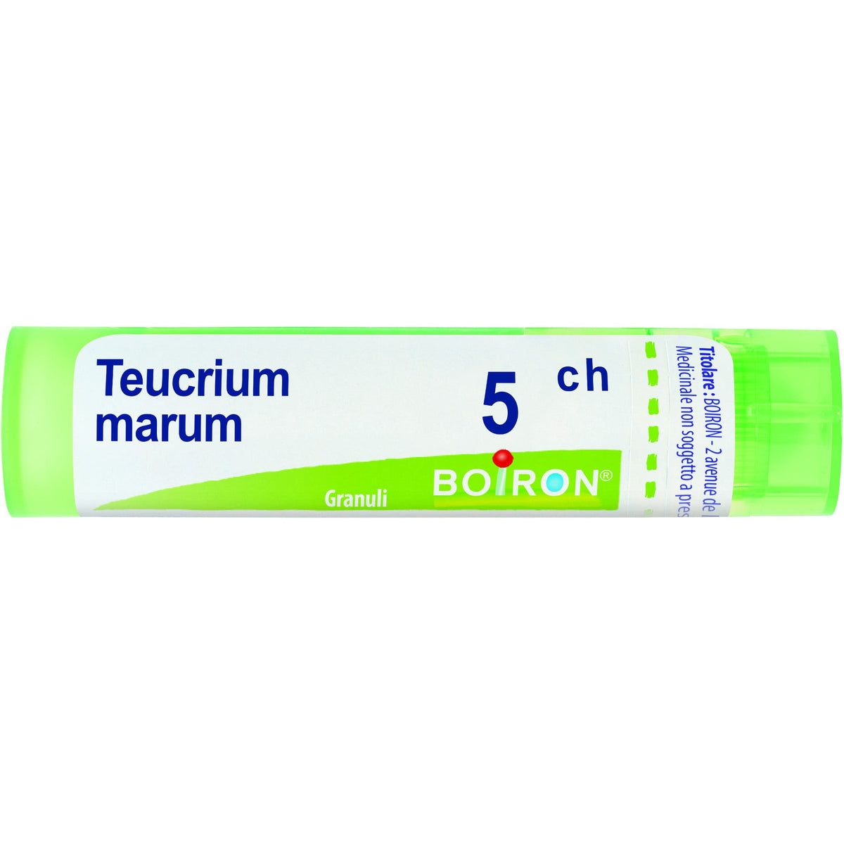 Teucrium mar boi 5ch 80gr 4g