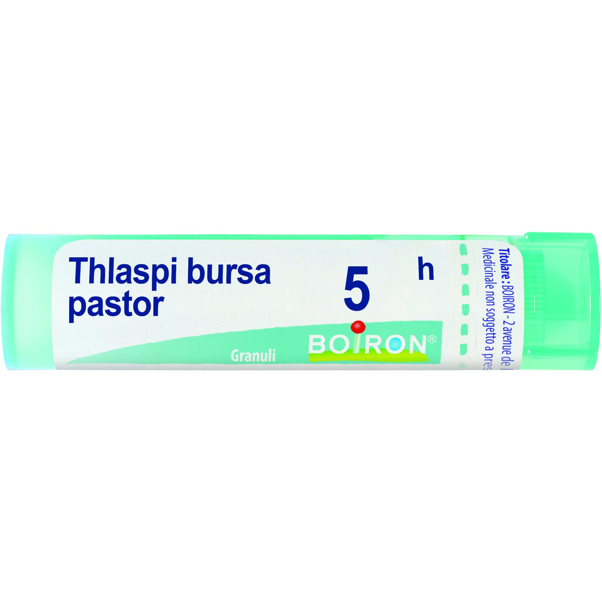 Thlaspi bursa pastiglie 5ch gr
