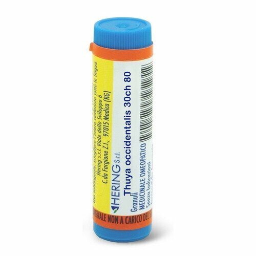 Thuya occidentalis 30ch 80gr