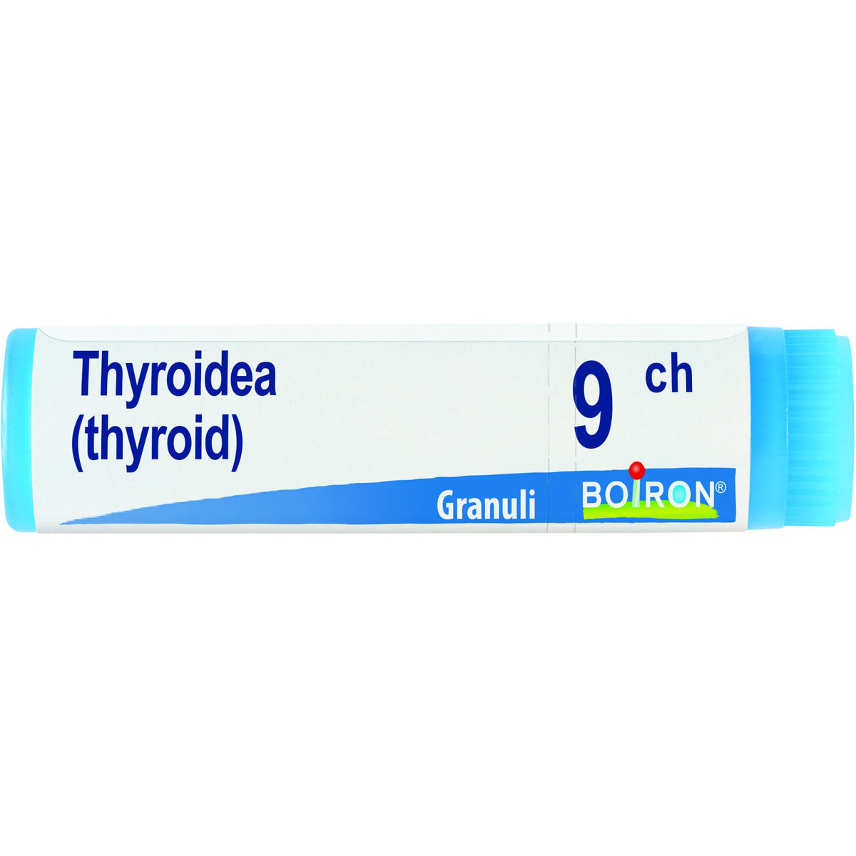 Thyroidea 9ch gl