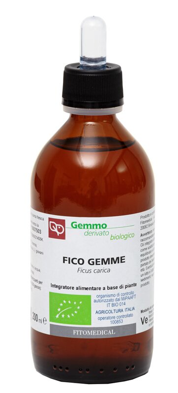 Tiglio bio mg 200ml