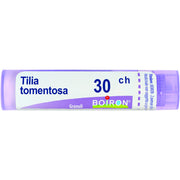 Tilia tomentosa 30ch gr