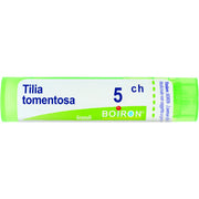Tilia tomentosa 5ch gr