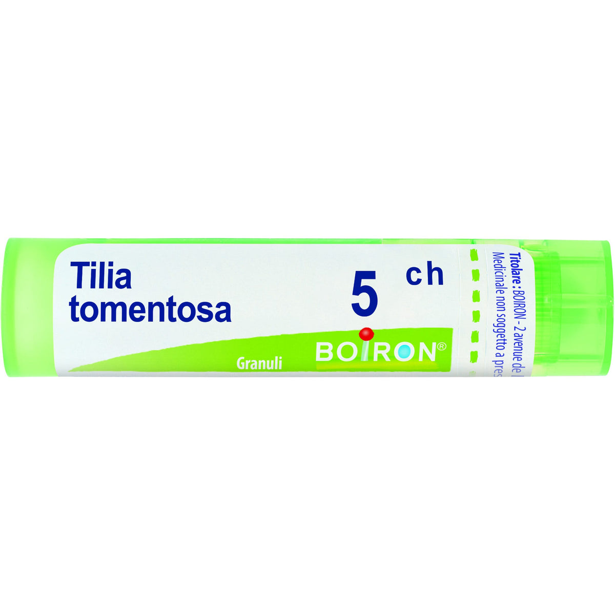 Tilia tomentosa 5ch gr