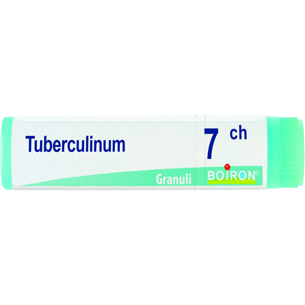 Tubercolinum 7ch gl