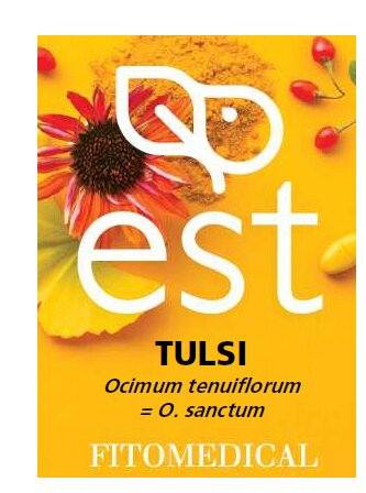 Tulsi estratto secco 60 tavolette