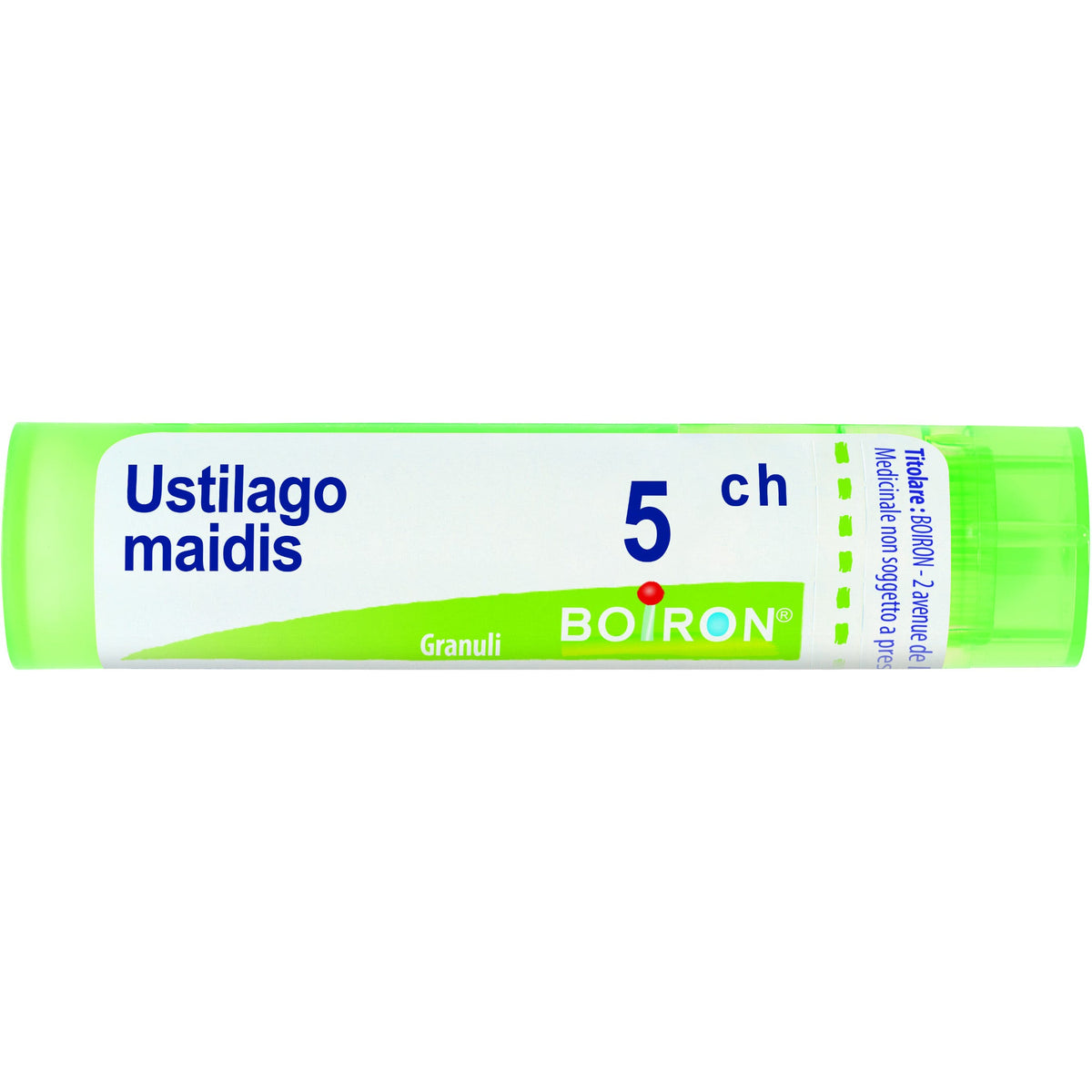 Ustilago maid boi 5ch 80gr 4g