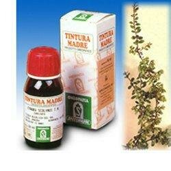 Uva ursina 30 50ml tintura madre