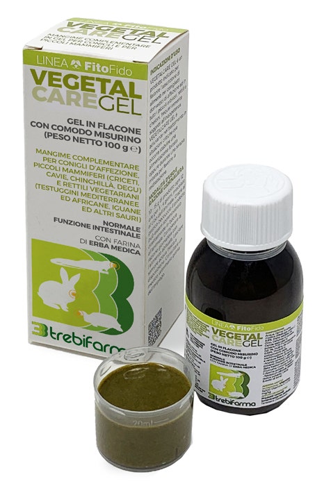 Vegetal care gel 100g