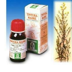 Verga oro 26 50ml tintura madre