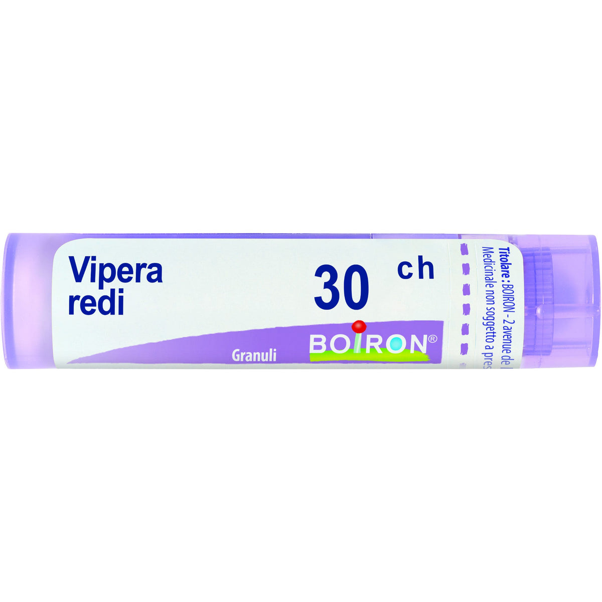 Vipera redi 30ch gr