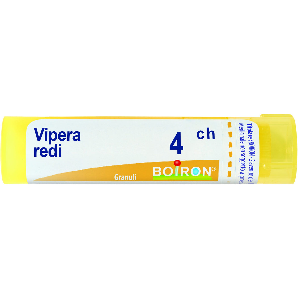 Vipera redi 4ch gr
