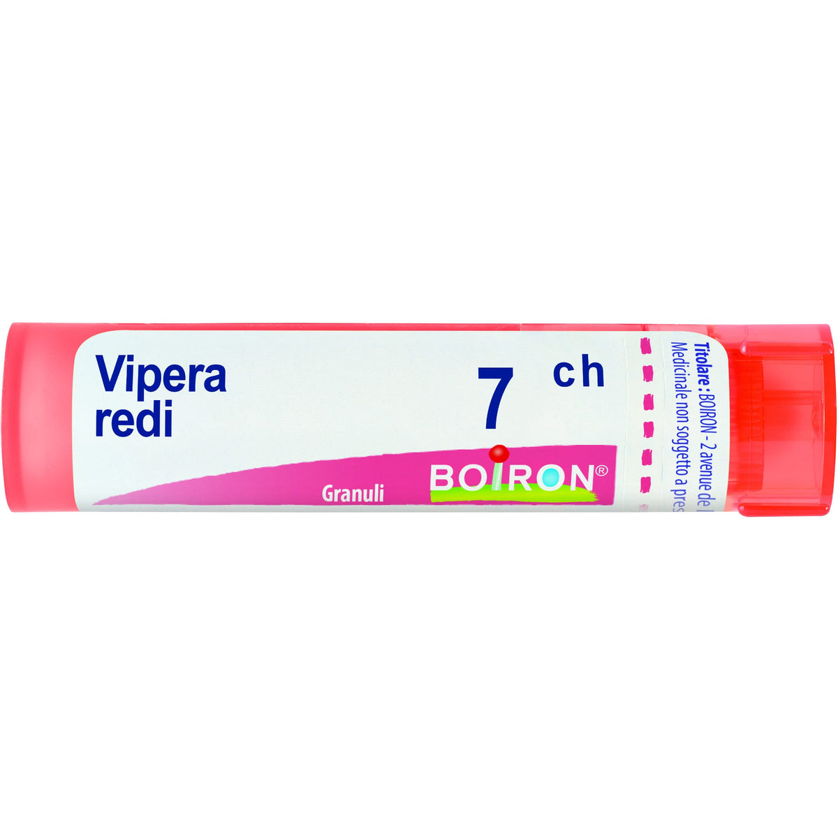 Vipera redi 7ch gr