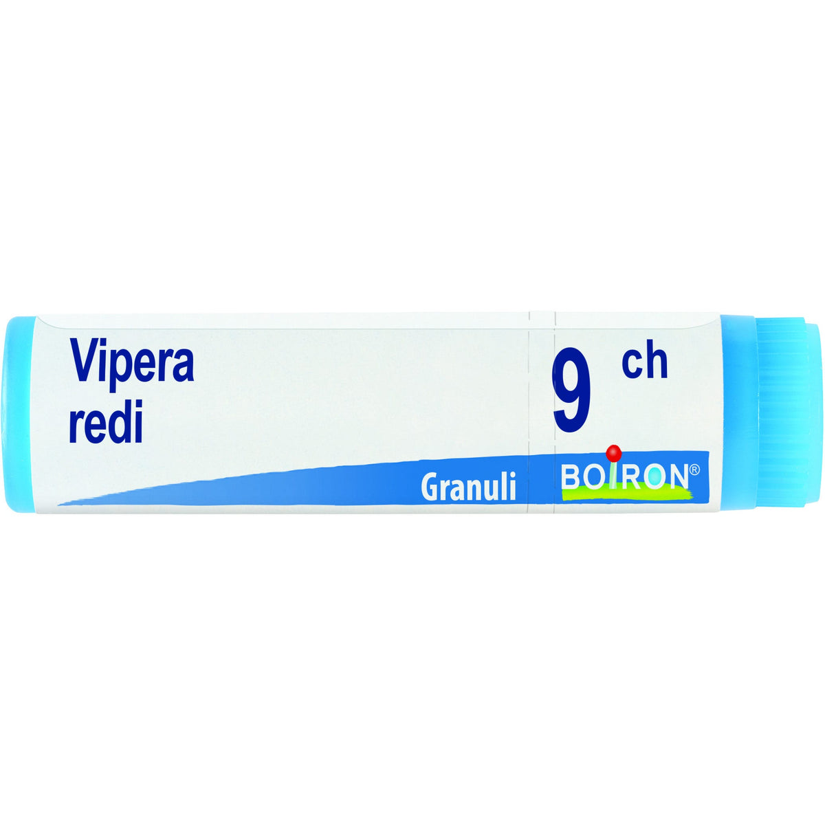 Vipera redi 9ch gl