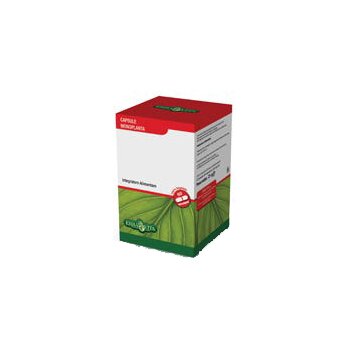 Vischio 60cps