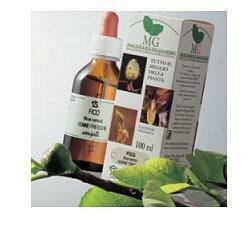 Vite 100ml mg