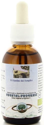 Vitis vinifera eiglice 50ml