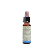 White chestnut 10ml di leo