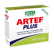 Whynature artef plus 24 bustine