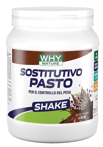 Whynature sostitutivo pasto cacao 480 g