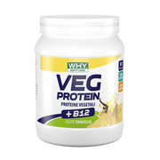 Whynature vegetale protein van 450g