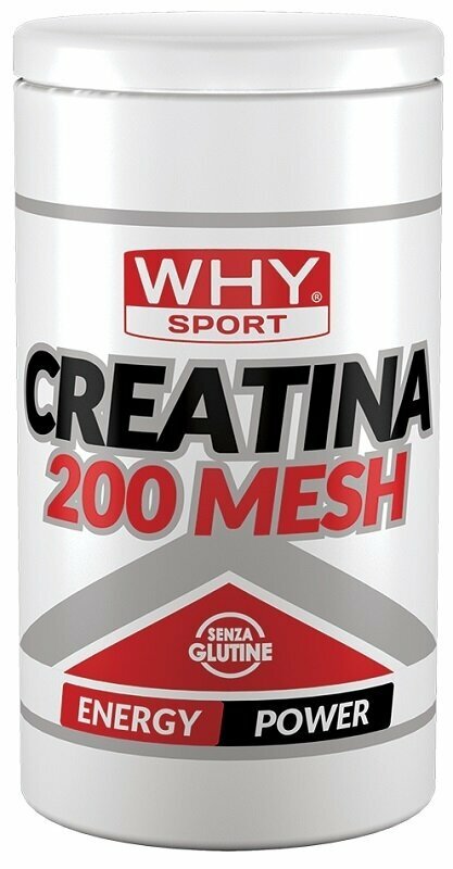 Whysport creatina 200 mesh500g