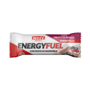 Whysport energy fuel frutti30g