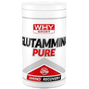 Whysport glutammina pure 500g