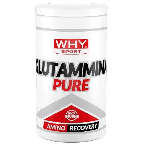 Whysport glutammina pure 500g