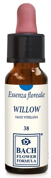 Willow original 10ml gocce