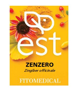 Zenzero estratto secco 60 tavolette