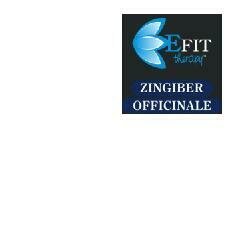 Zingiber officinale estratto fluido 30 ml